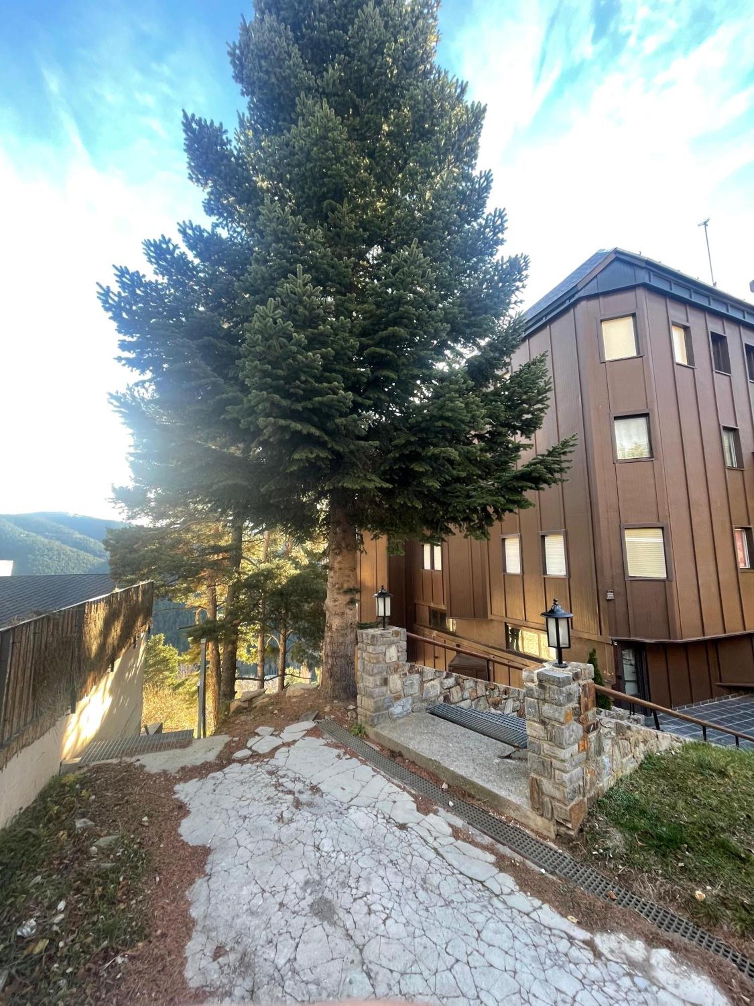 Apartamento Acogedor En La Molina, 2Hab, Wi Fi ลา มอลินา ภายนอก รูปภาพ